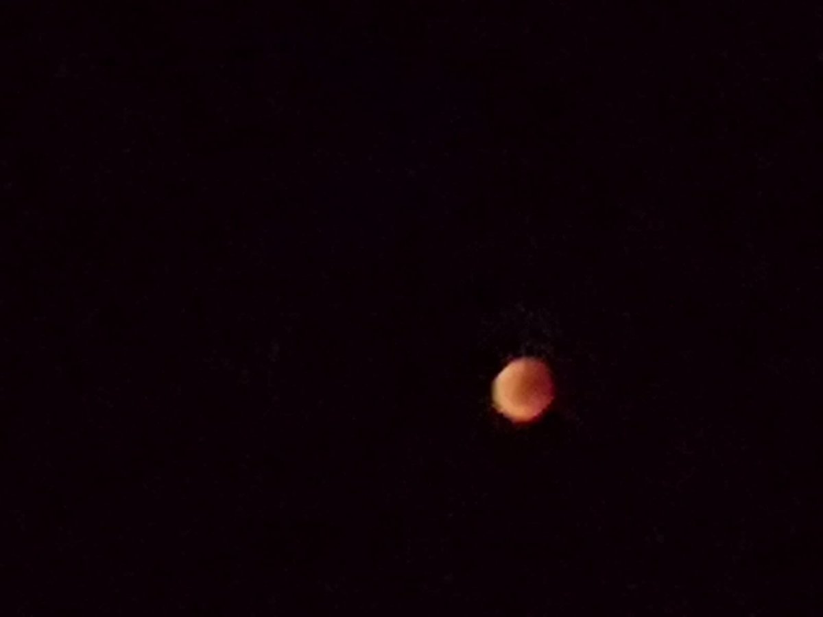 stef_proietti's tweet photo. 🌕🌗🌑🌔☄️💫✨le straordinaria impressionanti immagini della #lunarossa insieme a #Marte viste dal Bosco di San Francesco, magica location scelta in questa notte speciale in @cittadiassisi 
@UniversoAssisi ha aperto nuovi orizzonti verso il futuro contemporaneo
#eclissi
#Assisi https://t.co/jXapzPNhRS