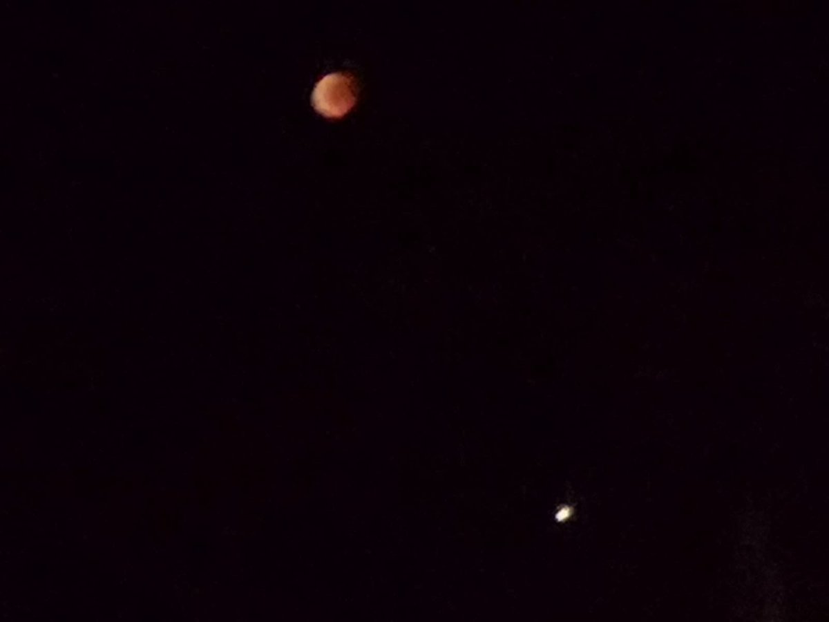 stef_proietti's tweet photo. 🌕🌗🌑🌔☄️💫✨le straordinaria impressionanti immagini della #lunarossa insieme a #Marte viste dal Bosco di San Francesco, magica location scelta in questa notte speciale in @cittadiassisi 
@UniversoAssisi ha aperto nuovi orizzonti verso il futuro contemporaneo
#eclissi
#Assisi https://t.co/jXapzPNhRS
