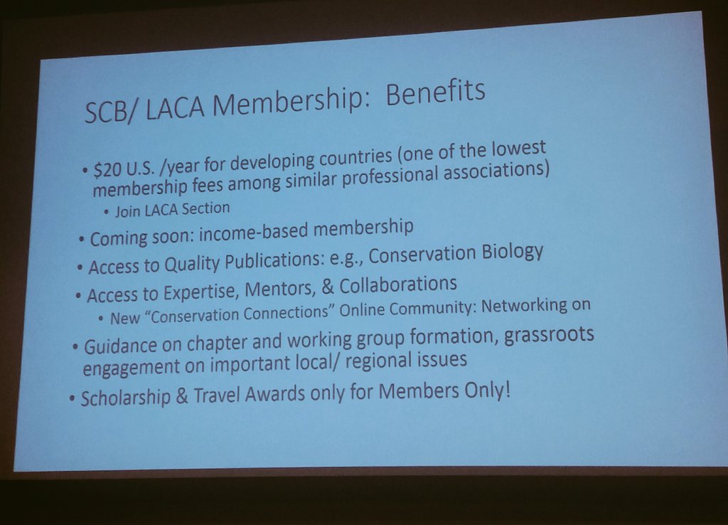 SCB's LACA Section tweet media