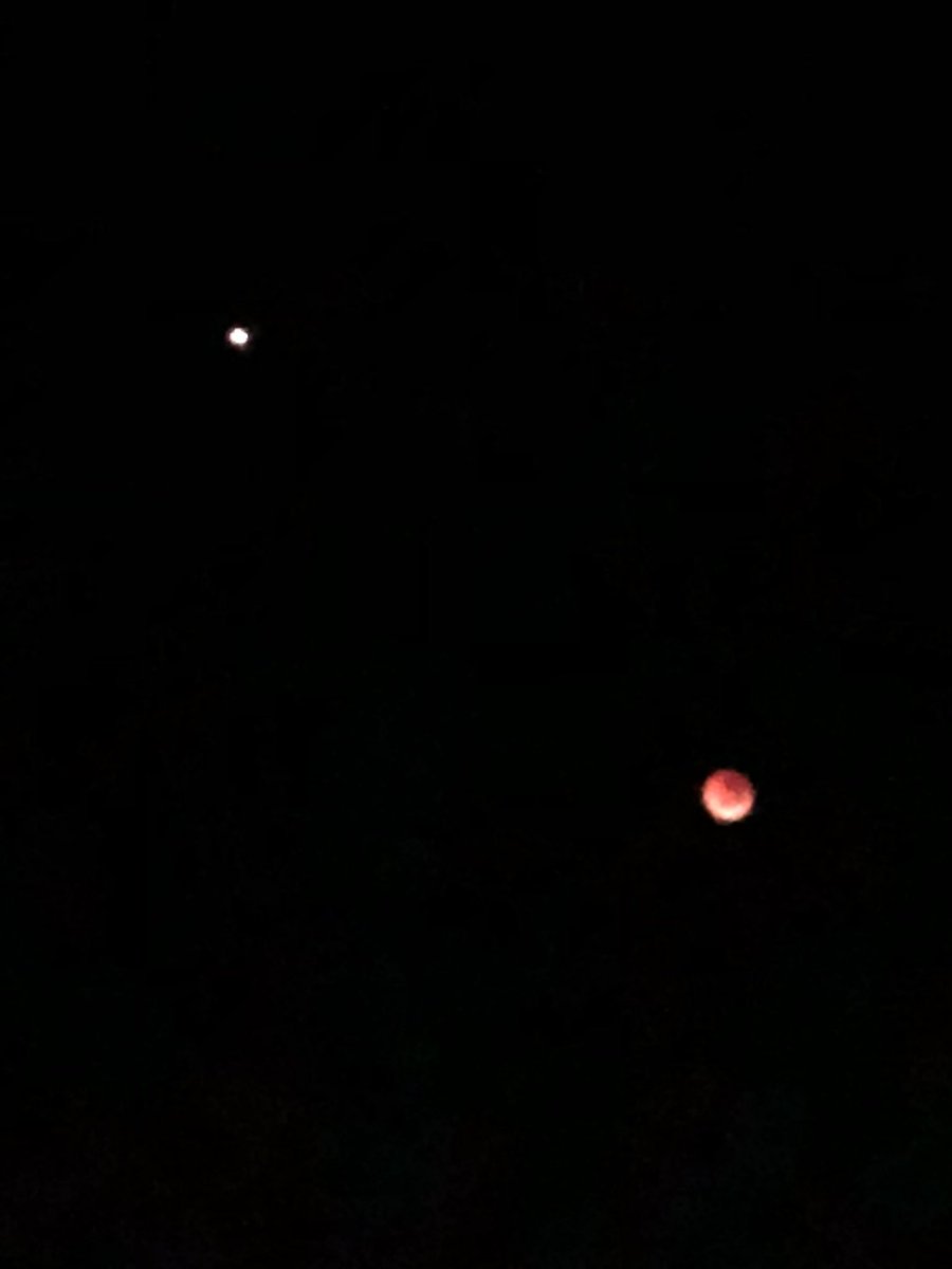 The #BloodMoon2018 and her friend #mars from my front lawn at 5:30am CST
