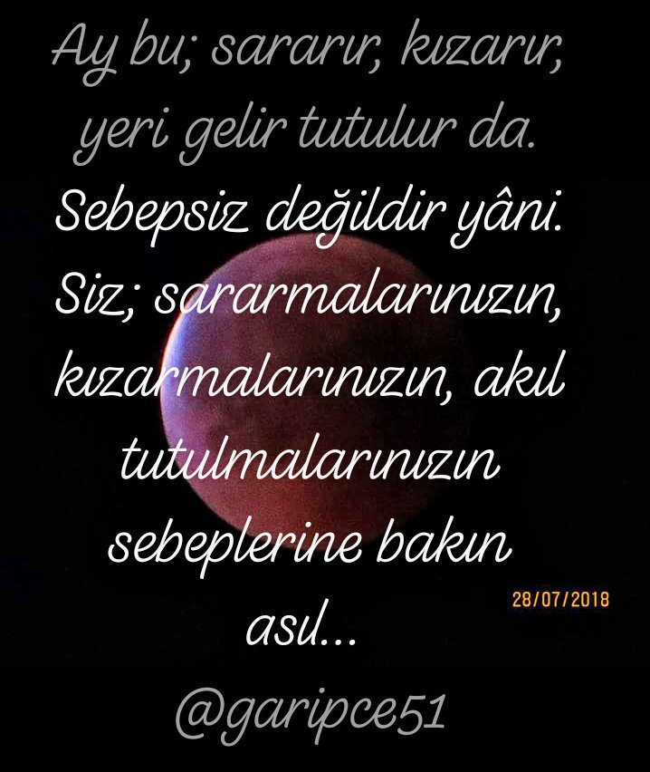 garipce51's tweet photo. https://t.co/XP0IC1zknH