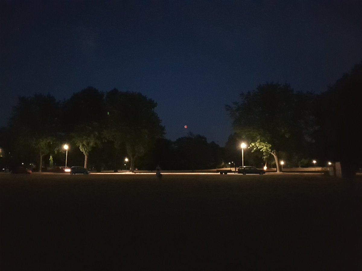 Kijk daar, dat rossige stipje, dat is de #bloedmaan, gezien vanuit het #Goffertpark in #Nijmegen.