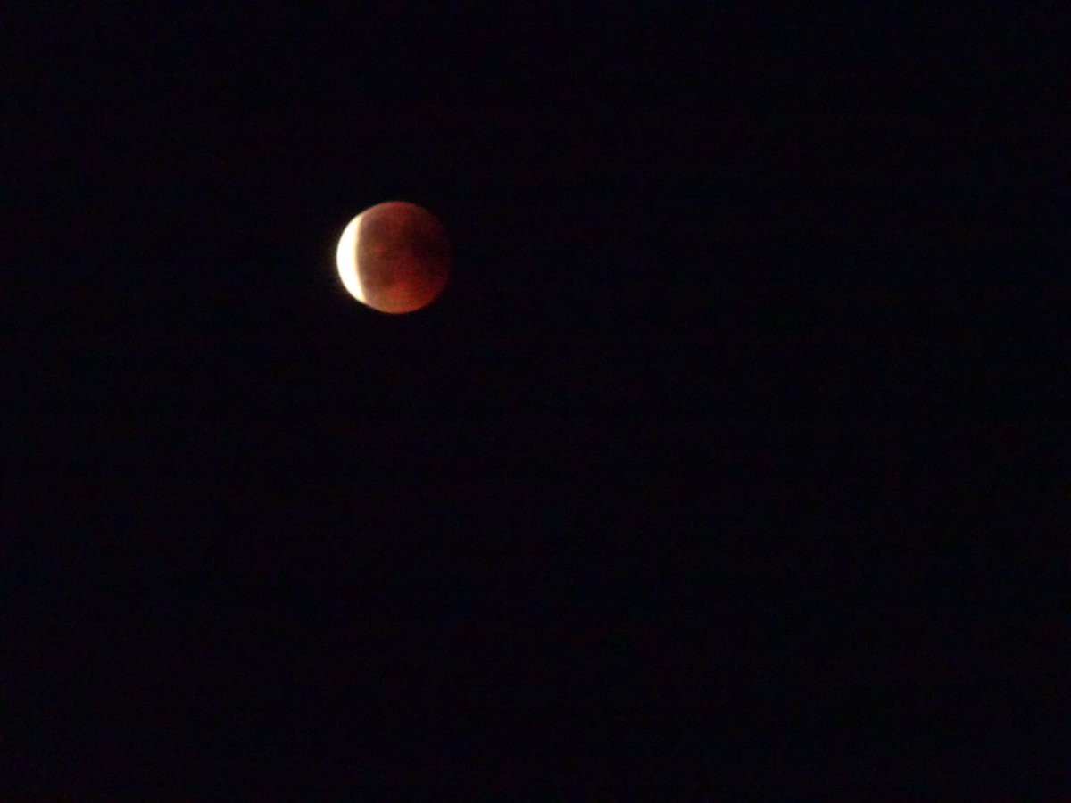 Travel_AddictD's tweet photo. #MoonEclipse2018 #moonlight #BloodMoon #BloodMoonEclipse #BloodMoon2018 #eclissi #eclissilunare #eclissilunareroma #roma #Rome #Mars #marte #Sky #Dark #night https://t.co/QjkOdKbAhg