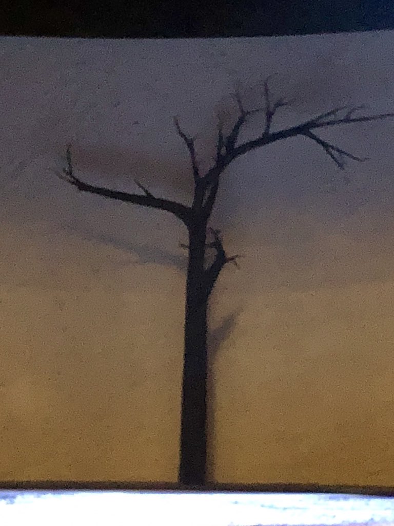 PamAlexanderAoU's tweet image. A marvellous @IanMcKellen Lear @DukeofYorks @ChichesterFT Moving and compelling. Echoes of Beckett. And nearly four hours after taking to the stage he is generously signing autographs and enjoying chatting... #80rules #unmissable