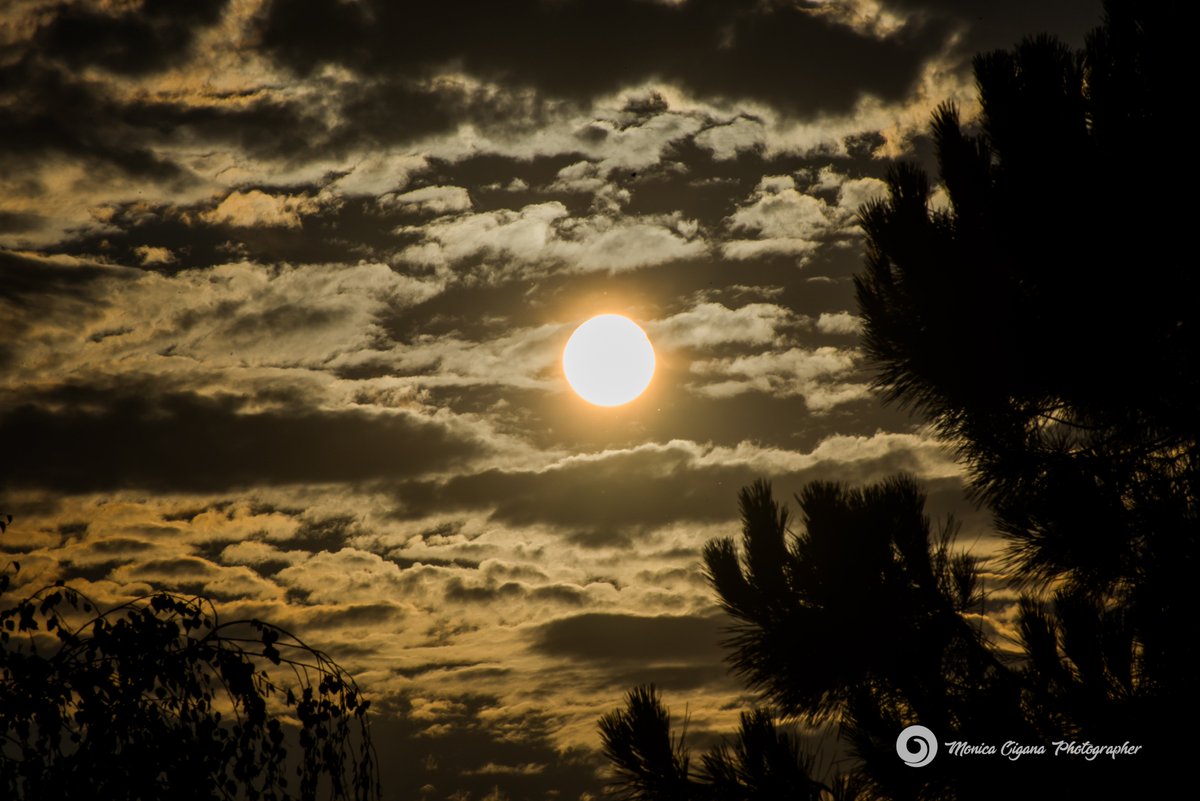 moni_web's tweet image. Eclissi di Luna - 27 luglio 2018🌑🌚🌒🌓🌘 primi scatti alle 19.45 - ultimi scatti alle 23.15 
#RedMoon #LunaRossa #Eclissi #Marte #GiochiconlaLuna