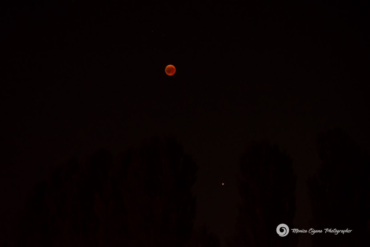moni_web's tweet image. Eclissi di Luna - 27 luglio 2018🌑🌚🌒🌓🌘 primi scatti alle 19.45 - ultimi scatti alle 23.15 
#RedMoon #LunaRossa #Eclissi #Marte #GiochiconlaLuna