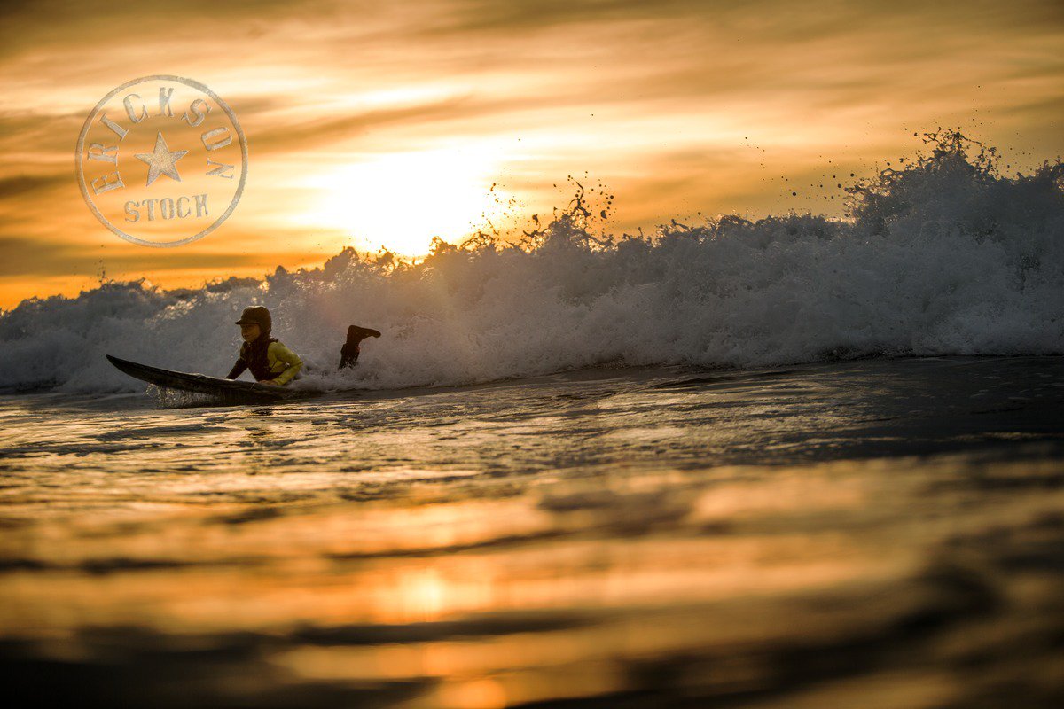 Erickson Stock tweet media