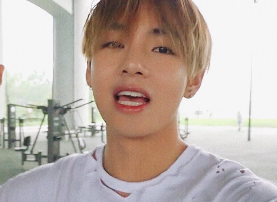 bts gallery tweet media