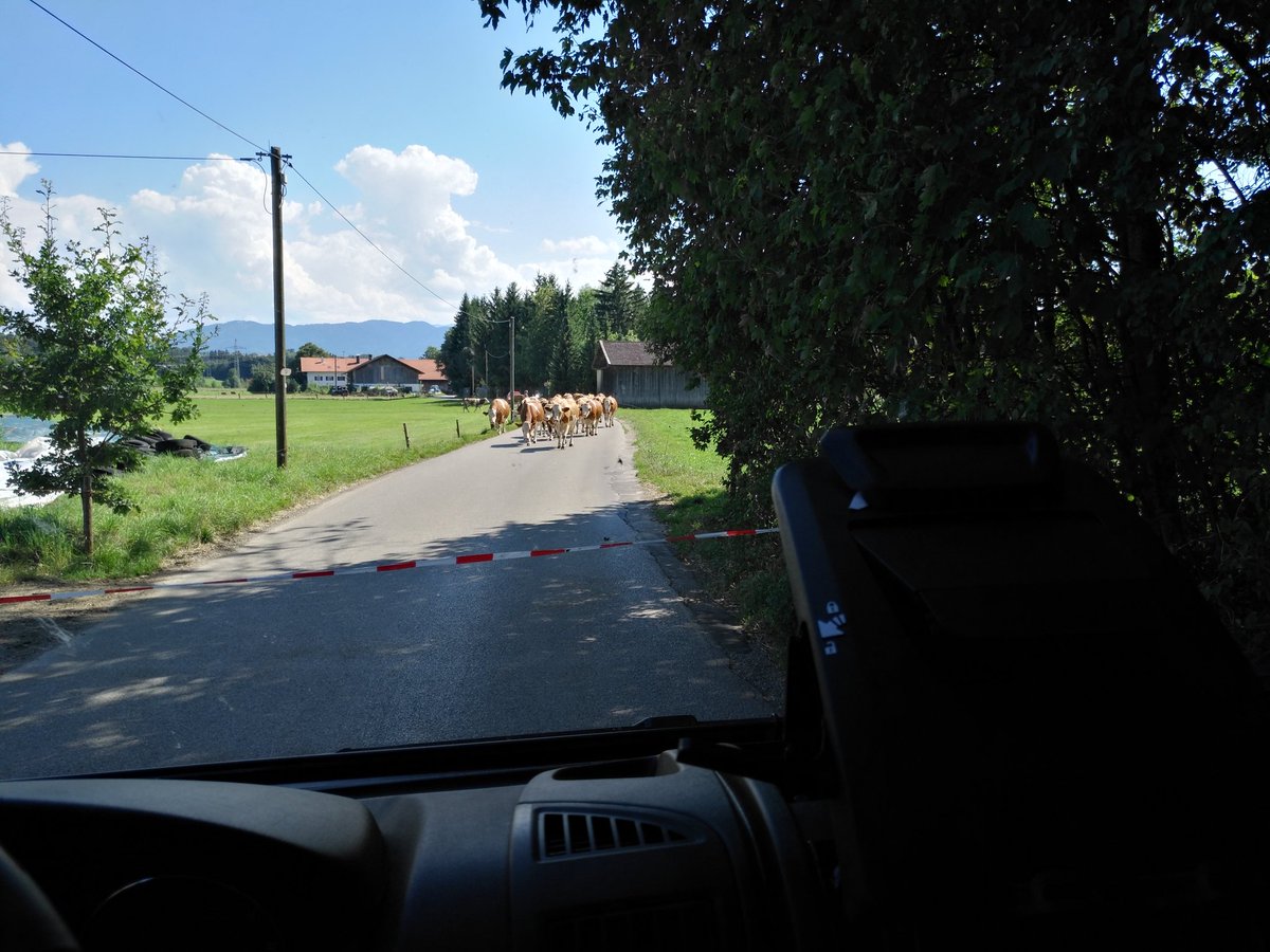 That's Bavaria #beapushbiker  <a href="/weinsberg/">Lia Weinsberg</a> <a href="/bayern/">Bayern</a>