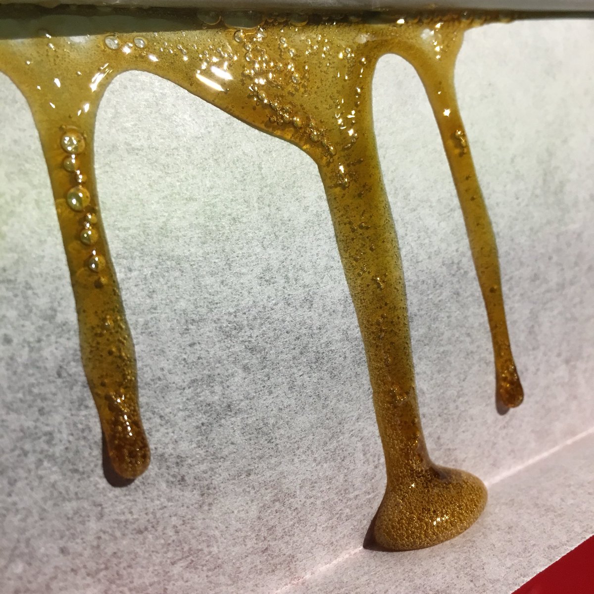 RosinUnity's tweet photo. CBD Death Bubba &amp; Amnesia Haze both squished @200f using 90U @KorLor420 organic #ROSINBAGS #rosin #solventless #bcgrown #bcterps🇨🇦 https://t.co/OJxHM0jQ54