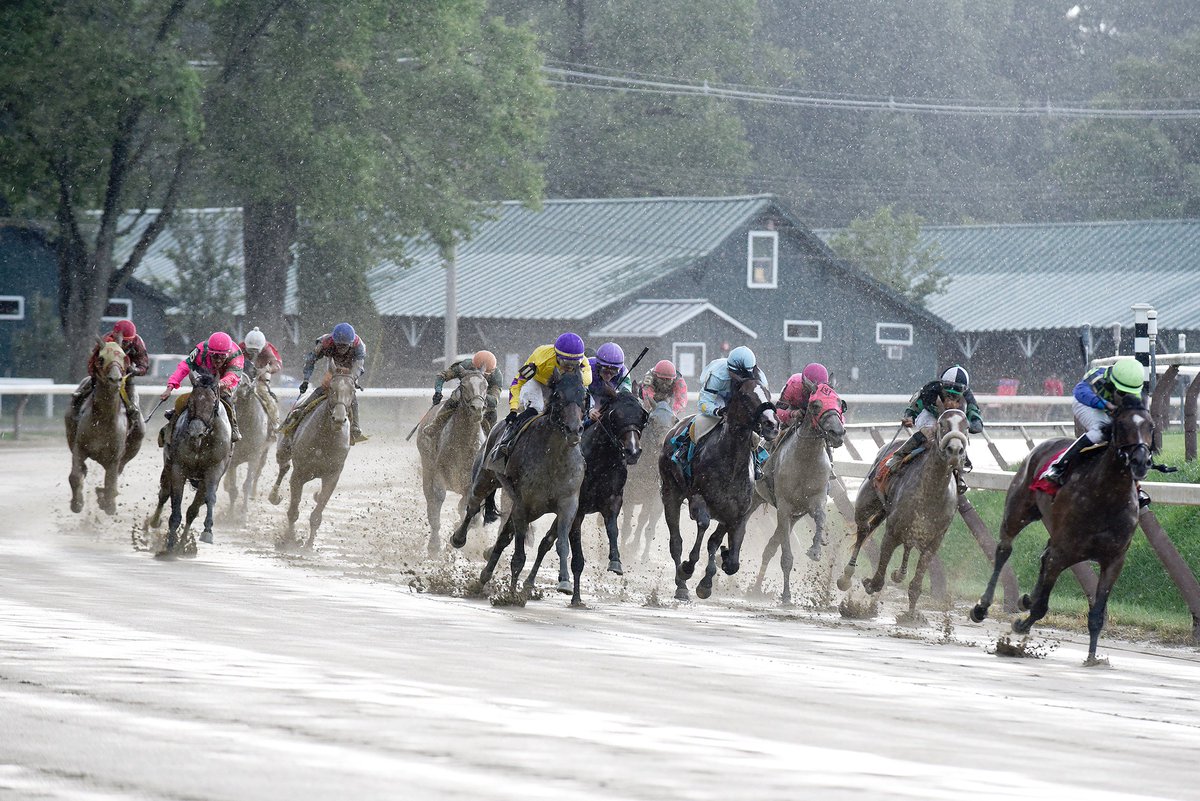 EricaPhotog's tweet image. Sloppy last race at #Saratoga... #MakeTheRainStop