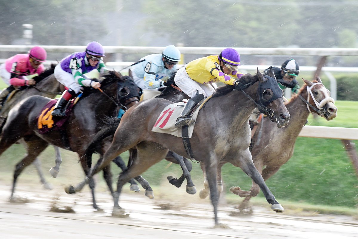 EricaPhotog's tweet image. Sloppy last race at #Saratoga... #MakeTheRainStop