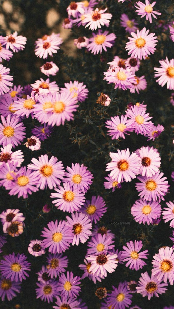 xiocks's tweet image. random ✨
rt se salvar / fav se gostar 💎
/ness