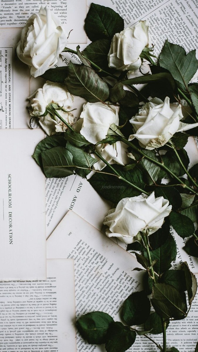 xiocks's tweet image. random ✨
rt se salvar / fav se gostar 💎
/ness