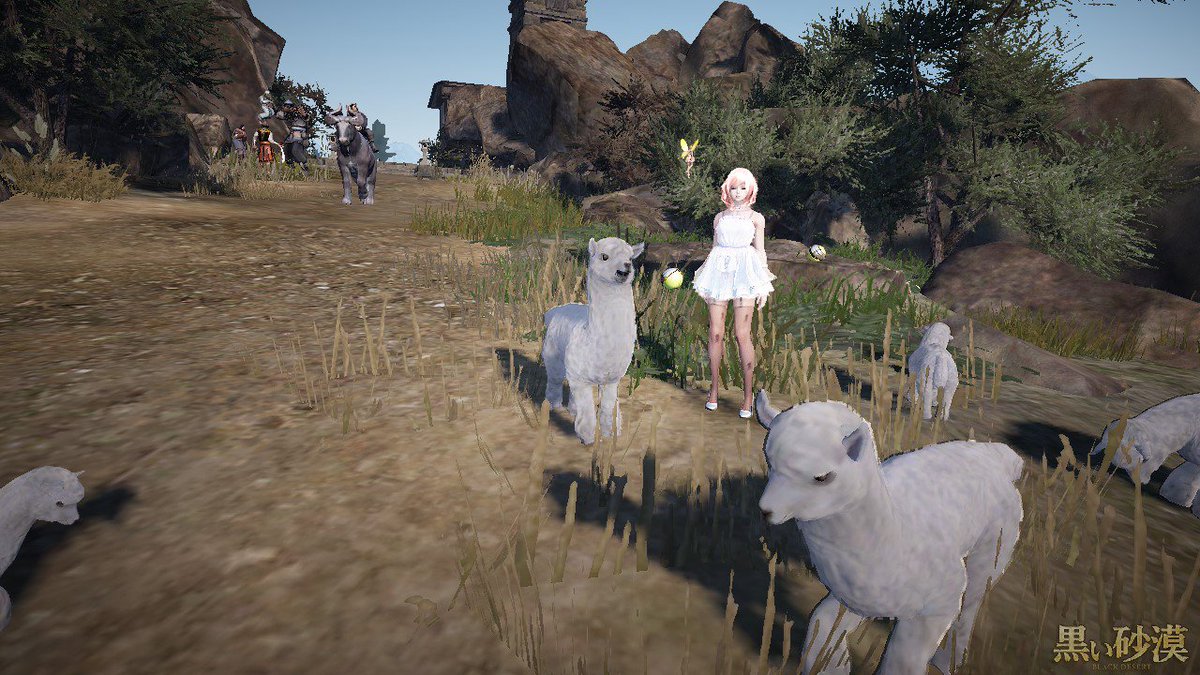 夢ちゃん 黒い砂漠 Di Twitter ドリガンではかわいいラマも狩らなければなりません きっと心を鍛えるための試練なのかも知れません 黒い砂漠