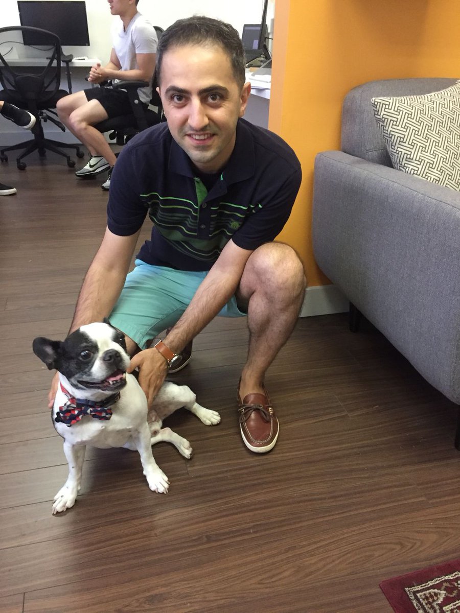 AYTechnologies's tweet photo. Say hi to Barto! 
He is the newest member of our team. 
#FridayFeeling #woof https://t.co/SIs56PBq9Y