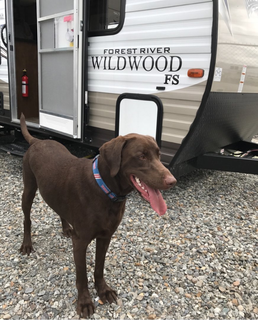 rvsnwest's tweet image. Camp out with Graham at RVs Northwest and get “SMORE” Savings! #SMOREFUN