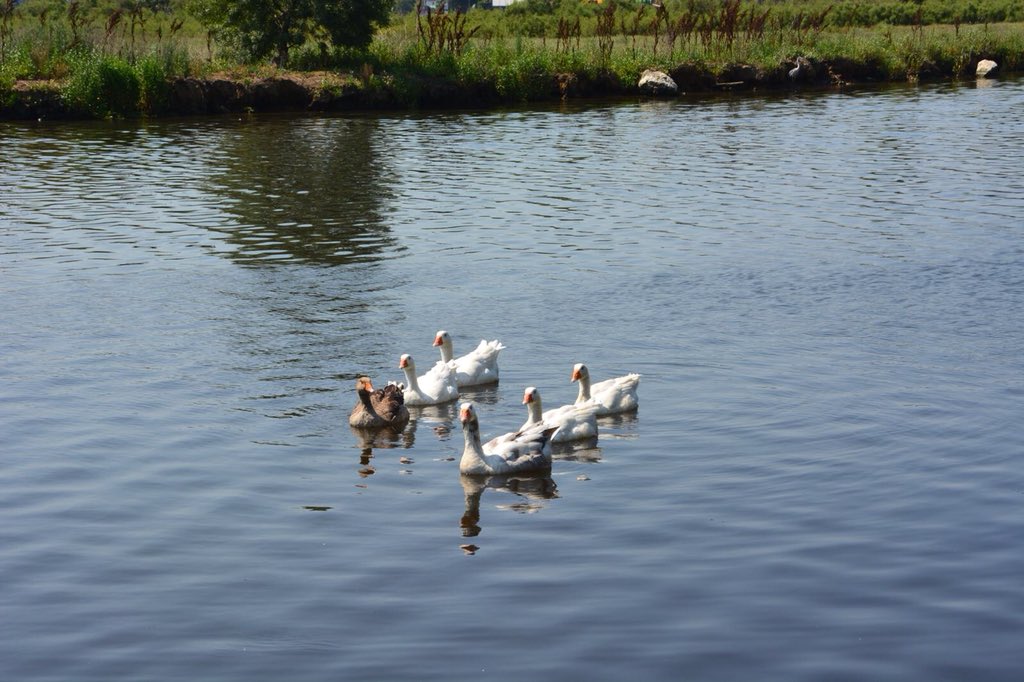Kiminin Gönlüne ağır gelirsin..
Kiminin Ömrüne..
Gönlümüz de, Ömrümüz de,
Önce Allah’a,
Sonra Kıymet bilenlere
Emanet Olsun💕

Hiç kimseyi,
sizi duâsına katmayacak kadar kırmayın🥀

          Hz. Fatma~

Allah’a Emanet Olun..
Hayırlı Hafta Sonları Diliyorum
Sağlıcakla🙋🏼