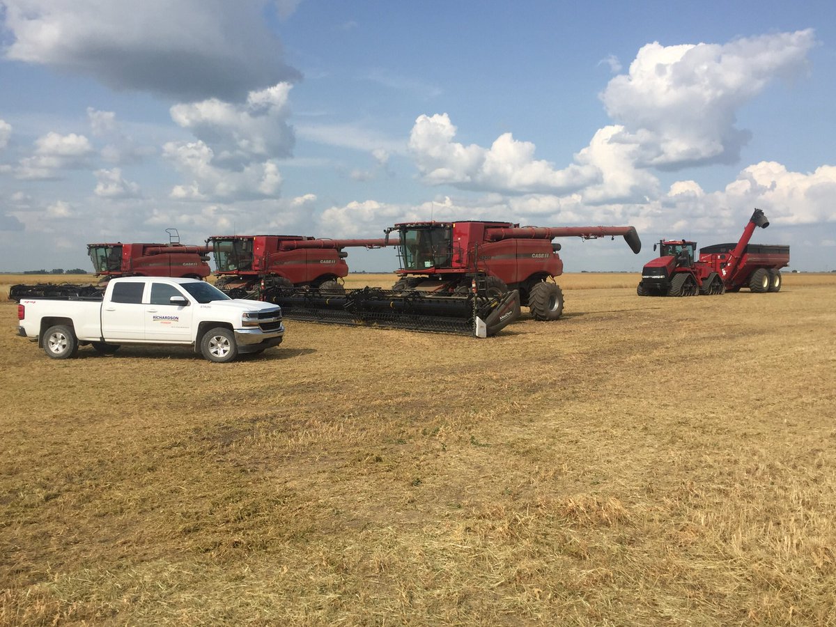Michael Brown (@sask_brown) on Twitter photo #Harvest18 yellow peas coming off the combine 18% moisture. Peas are dry at 16% but can come off at 18-20% to reduce cracking, peeling, and shatter losses. <a href="/RPCropWatch/">Richardson Pioneer</a> #Harvest18 yellow peas coming off the combine 18% moisture. Peas are dry at 16% but can come off at 18-20% to reduce cracking, peeling, and shatter losses. <a href="/RPCropWatch/">Richardson Pioneer</a>
