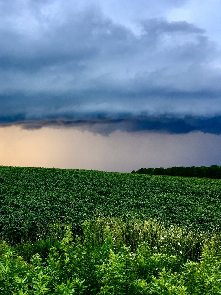 Nice cell developing just North of London ⁦<a href="/Onstormtracker/">OntarioStormTracker</a>⁩