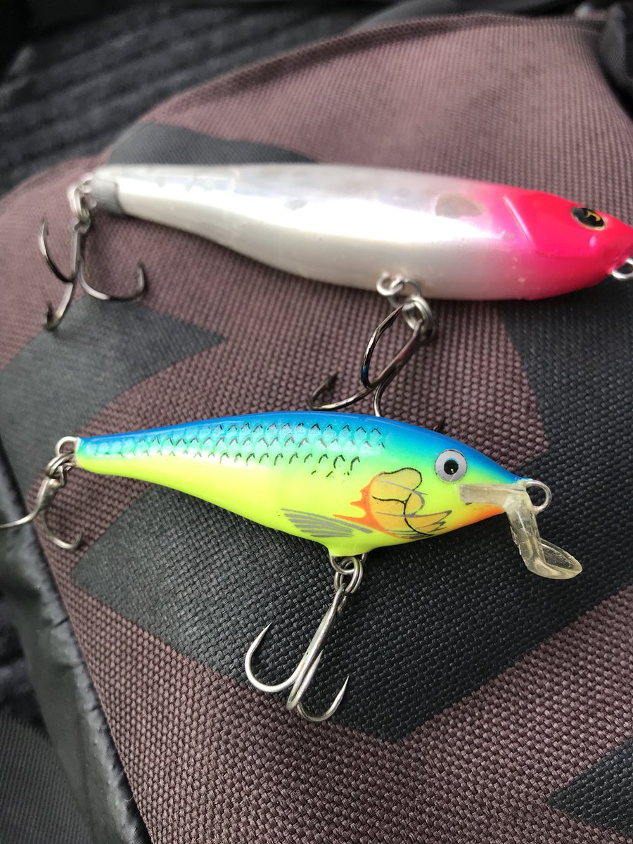 リンリュウ tweet media