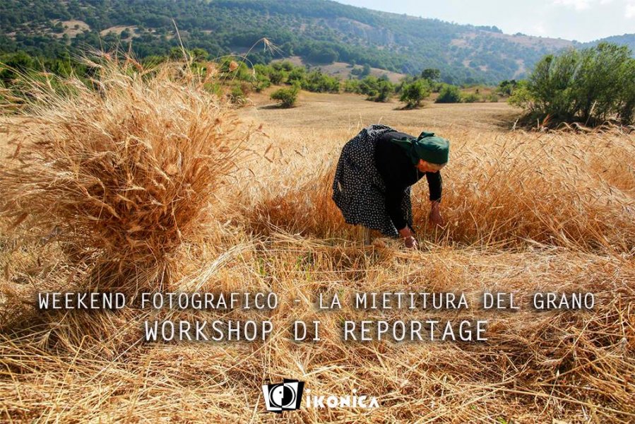 Reportage sulla mietitura

#28luglio #29luglio #workshop #Scanno #mietitura

panzoo.it/eventi-mostre/…