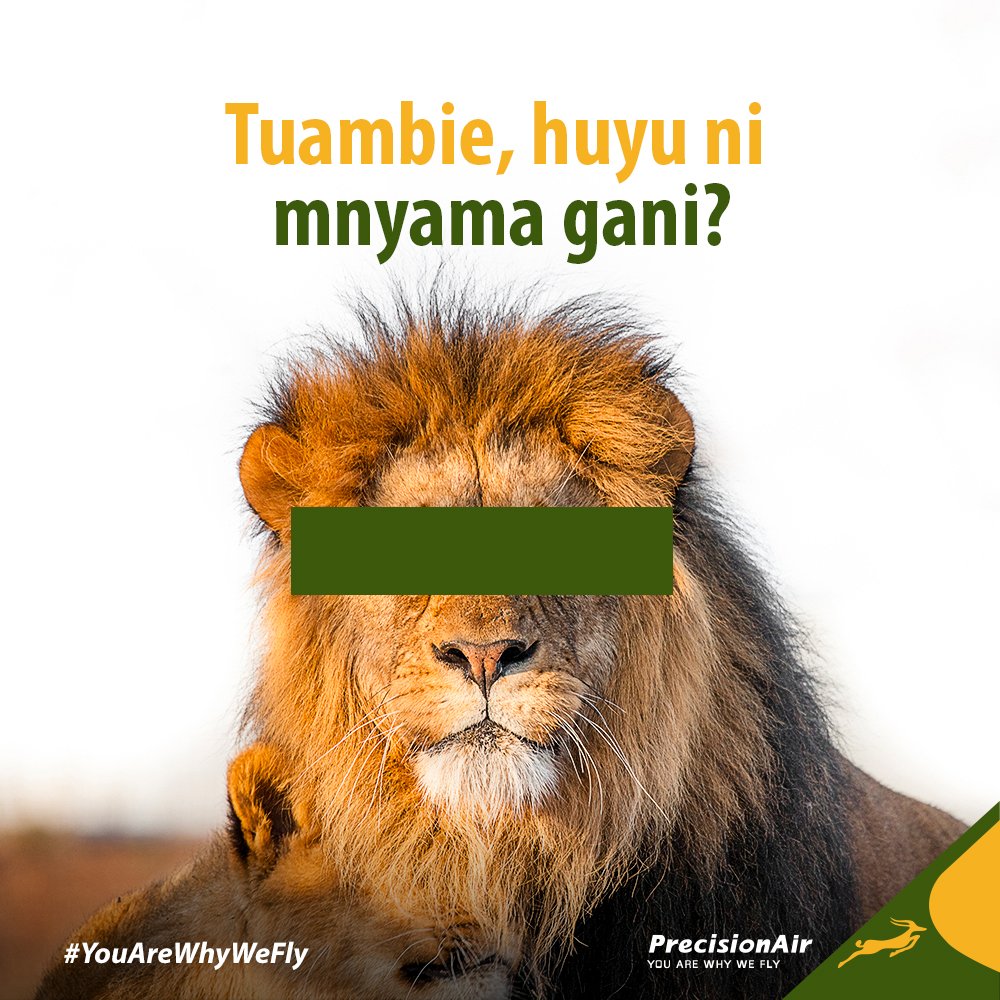PrecisionAirTz's tweet photo. Swali la wikiendi. Tuambie huyu ni mnyama gani? https://t.co/7TUl7Vgixa