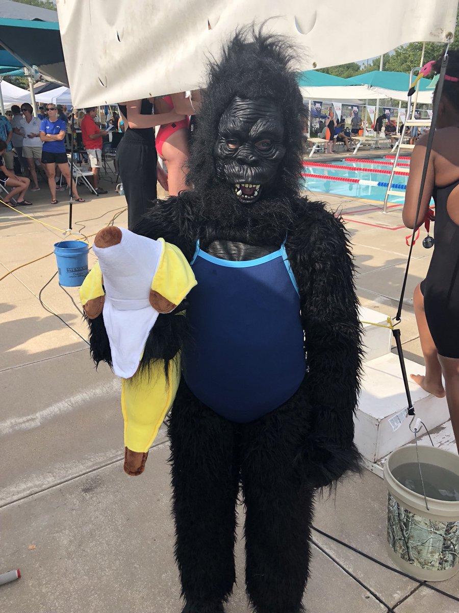 GOALswim's tweet photo. Day 2/4 of the D1 meet has been great! Keep up the good swims!  #goGOAL #championshipmeet https://t.co/YElCSCoBaF