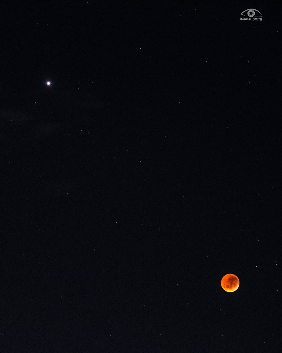 randal_m_smith's tweet photo. #BloodMoon2018 and #Mars in their incredible #celestial dance this morning #BloodMoonEclipse2018 Seen from #Ballarat @stormhour @CanonAustralia #theballaratlife #visitballarat #moon https://t.co/ZNXrPqFdSA