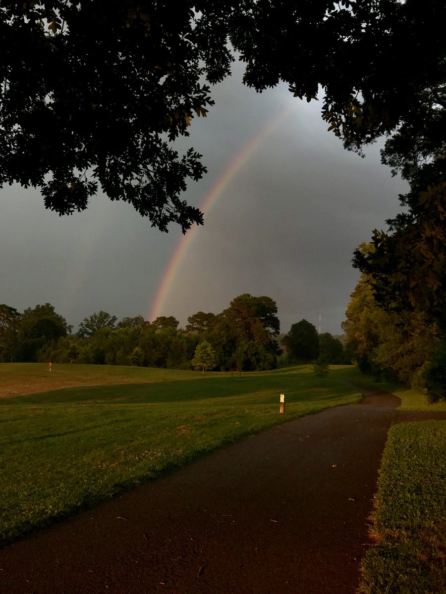 christinamauk's tweet image. Caught in the rain, huddled under a tree, then this. Today of all days, this is meant for ME. #mysign #mypromise 🙌🏼