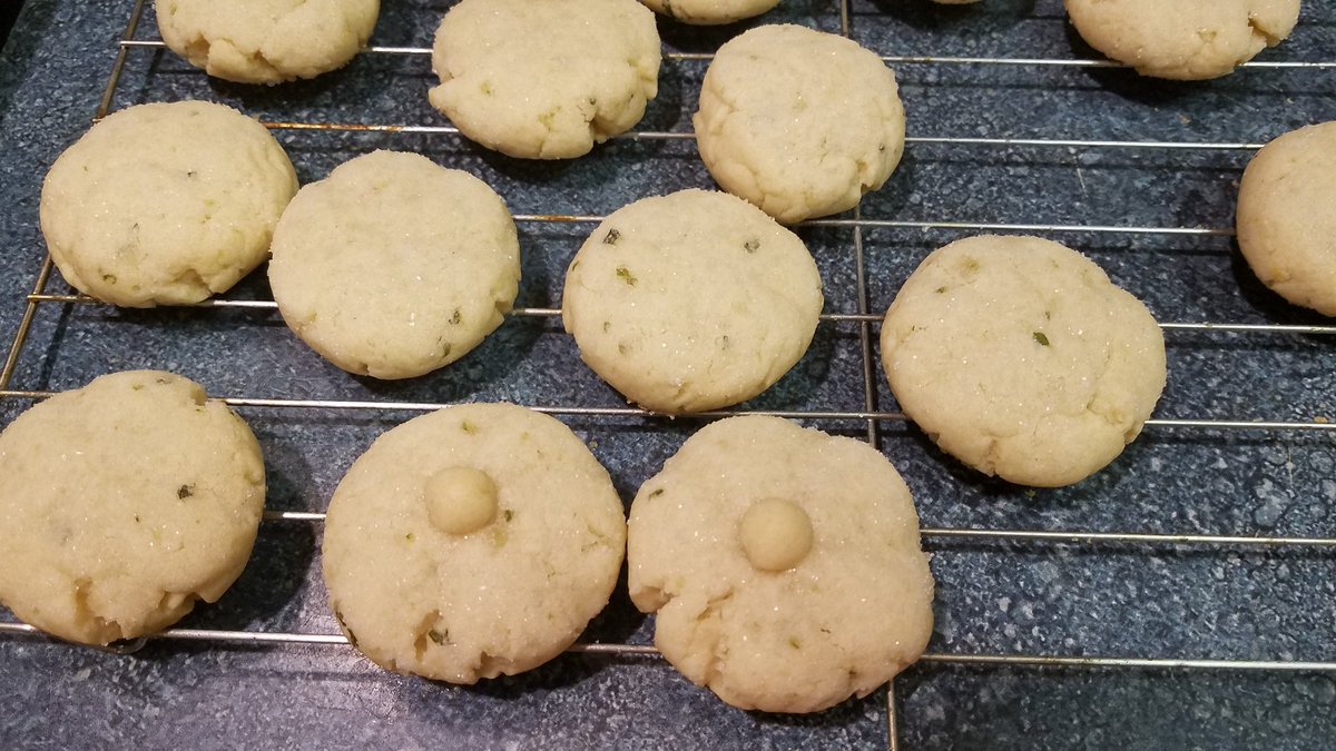 BiddyKeenan27's tweet photo. Should I bring the titty cookies to the family reunion tomorrow? #drunkbaking https://t.co/aWNq6ADEUy