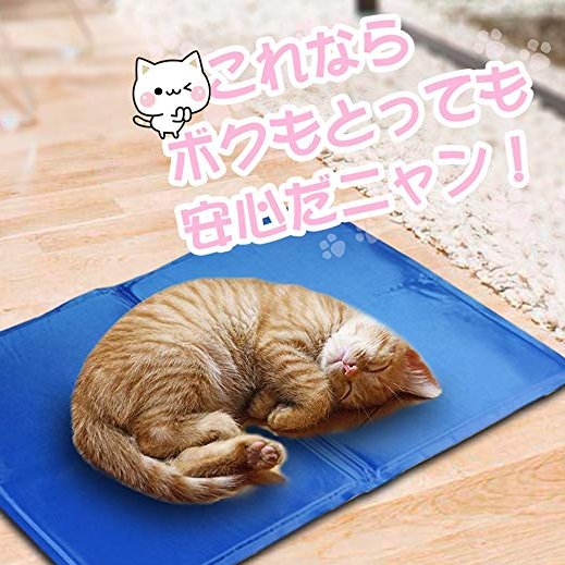VfjpLucas's tweet photo. ＼毎週キャンペーン／
  📣マット ペット📣 

▼応募方法
[1]@VfjpLucasフォロー&amp;RT‼️
[2]Amazonとpaypalカウント持ち方を優先
　　　　　　　　　　　　　　　　　　
抽選で🔟名様                 

★締切
7/30（月）19時まで　
ツイーターに当選発表
#キャンペーン
#プレゼント企画
#懸賞
#抽選 https://t.co/GeteGgCTYp