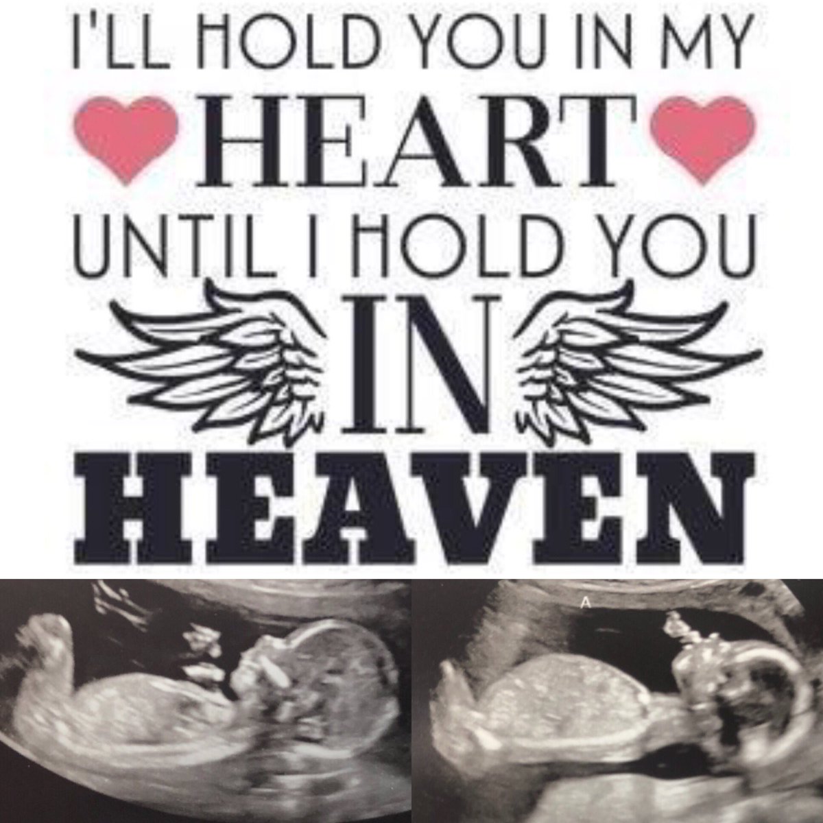 Mary Francese (@angelassassinxo) on Twitter photo 