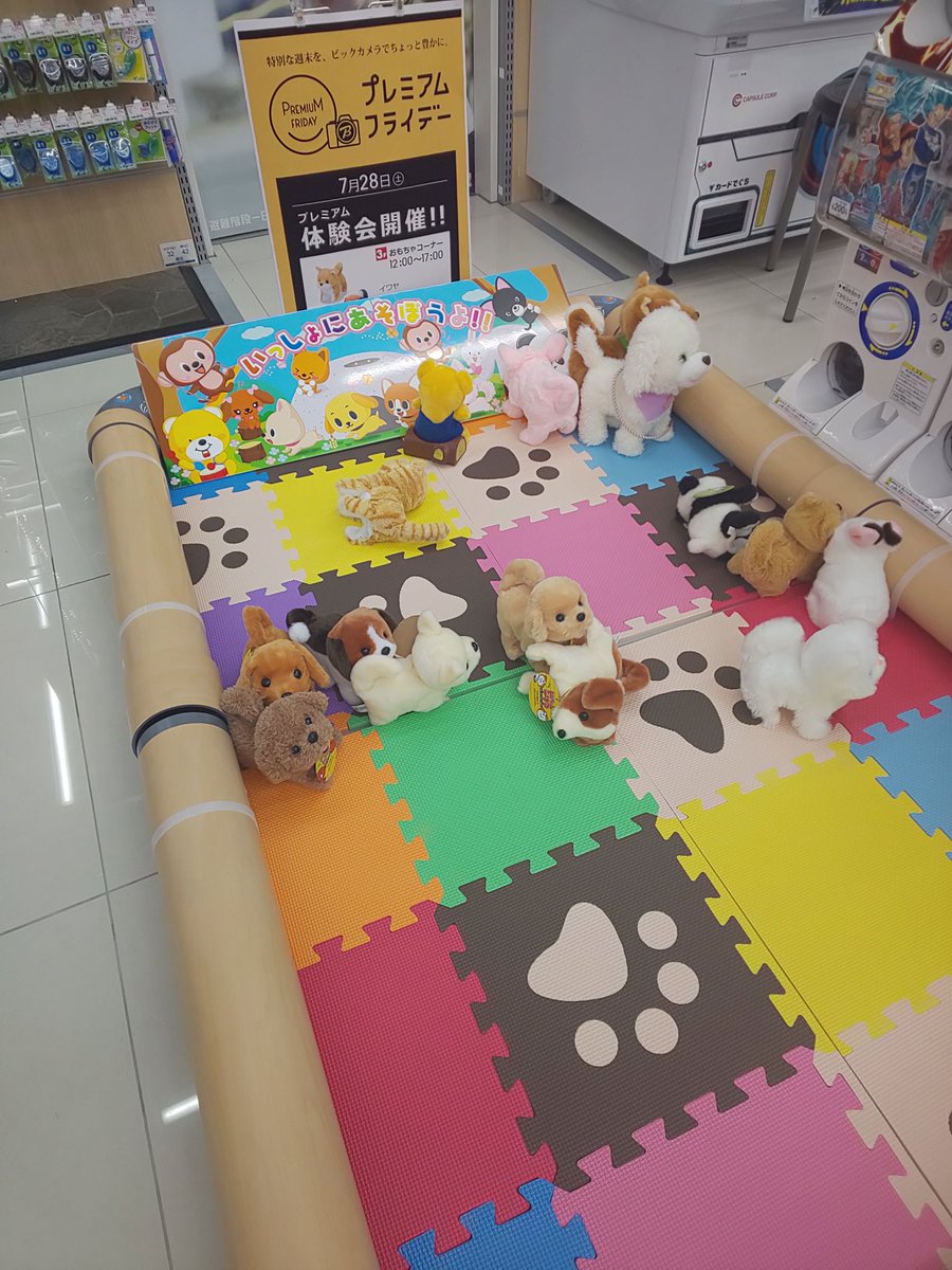 تويتر ビックカメラ京王調布店 على تويتر つ プレミアムフライデー体験会 ビックカメラ京王調布店3fおもちゃ コーナーでは 本日12時 17時 イワヤの可愛いぬいぐるみ達が遊びに来てくれます 動きが愛らしいですよー いっしょに遊んでくださいね