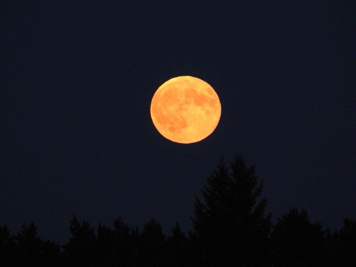 Wendy_Pohl's tweet photo. Blood Moon tonight rising #MoonMode #Nikon #FullMoon #Shilo #Manitoba #Canada #July #SummerEclipse #Beautiful https://t.co/KHzBVKW9Pp