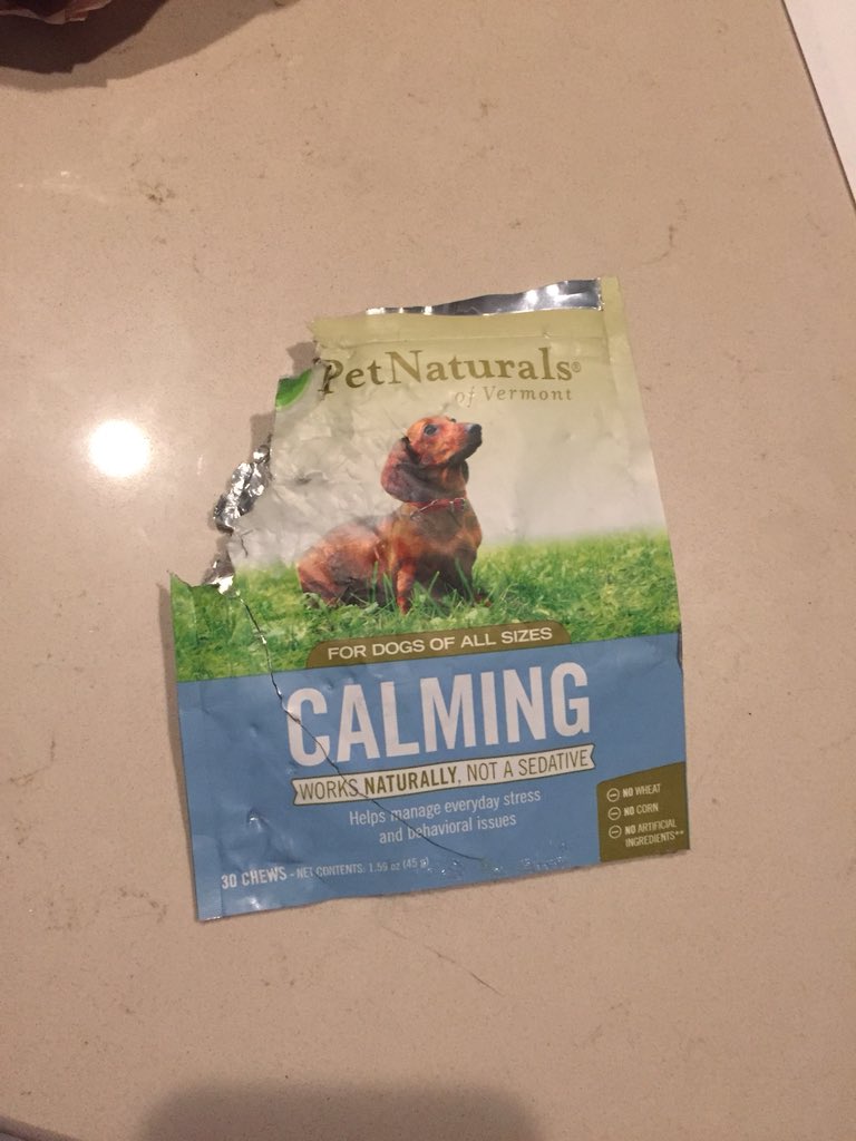 PiedPupper's tweet photo. Mom left this on the counter for when I hear boom booms, I sneeked and ate the whole thing. I feel goooooooooooood https://t.co/QfFpbV6fMz