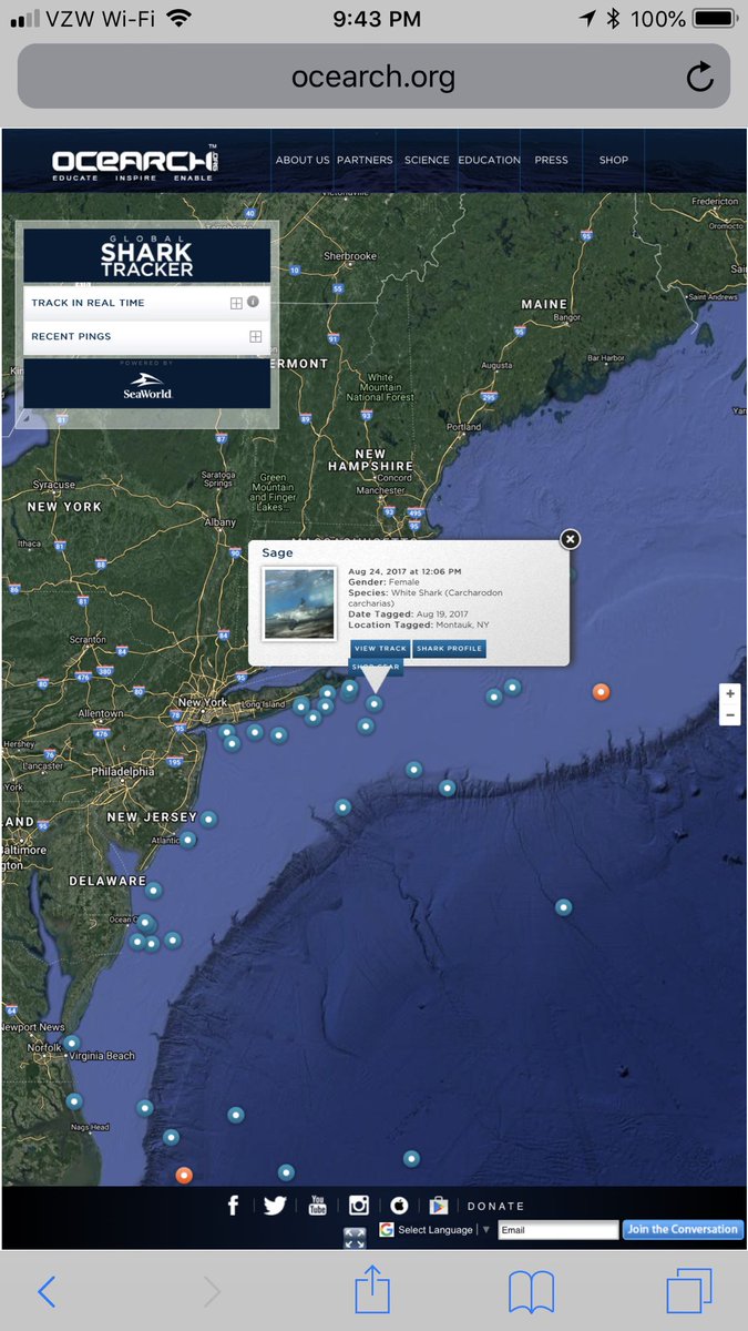 jimwharton's tweet photo. #SpawnofJaws is trying to establish the presence of white sharks off Montauk, NY? Let me help...yup, white sharks. #SharkWeek HT @OCEARCH https://t.co/btApQrB9uI