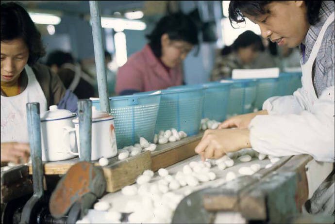 fengcheng_ccc's tweet image. Suzhou, China, 1982.
The city&apos;s canals, stone bridges, pagodas and meticulously designed gardens have contributed to its status as one of the top tourist attractions in China.
#suzhou #soochow  #chineseculture #china #oldphoto #photoofchina #photographyofchina #vintagephotography