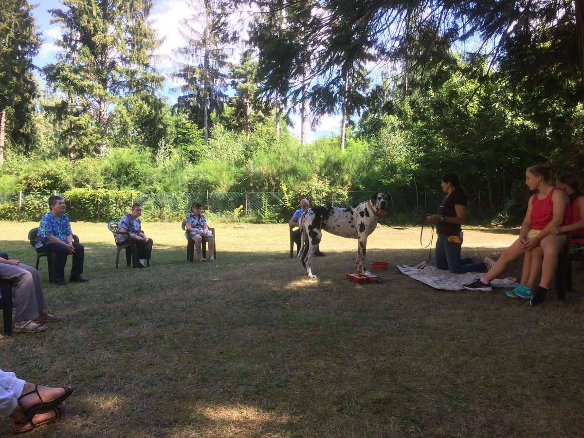 WishgateOnlus's tweet photo. Pet Therapy al contrario; i nostri amici fruitori aiutano la cagnolina timida. 🐾😉
Fantastici ❤️ Grazie ❤️
#pettherapyalcontrario #cuassoalmonte #pettherapy #comunitàilsorriso #ilsorriso #alanoarlecchino #valceresio #disabili #disabilità #speranza #obiettivi #risultati https://t.co/clUYgXFdtL