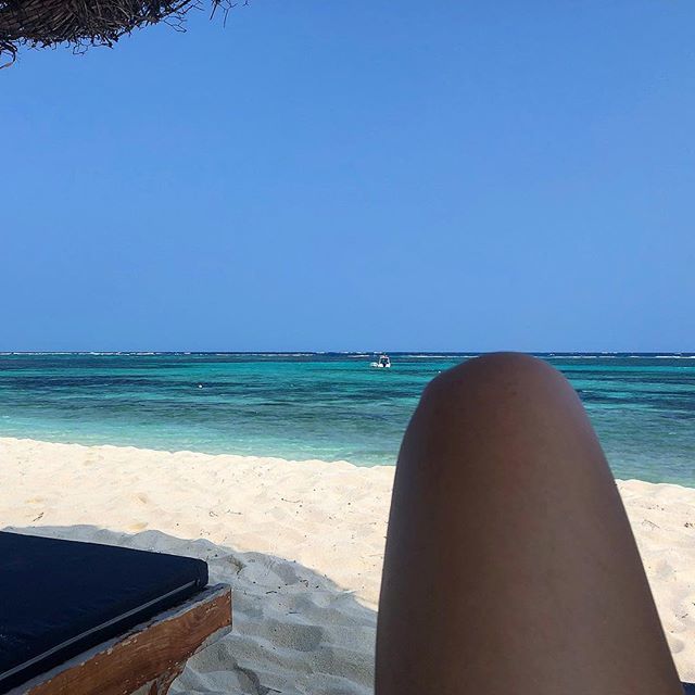 chickenator's tweet photo. Hot dog or leg? Fiji edition https://t.co/IZribPi2GH https://t.co/VDh0WXRckj