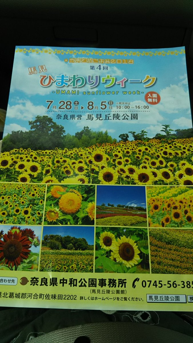 ひまわりウィーク