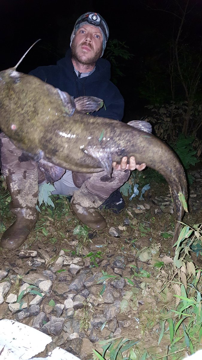 Dirk Field tweet media