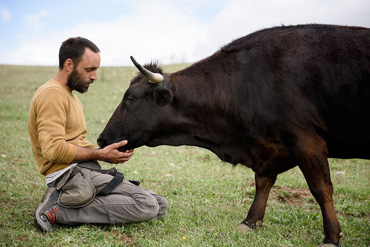A <a href="/CompromisVLC/">Compromís València</a> ho tenim clar: Sí al Benestar Animal! ❤❤ #BienestarAnimal

#València rechaza recuperar el 'bou embolat' elmundo.es/comunidad-vale…