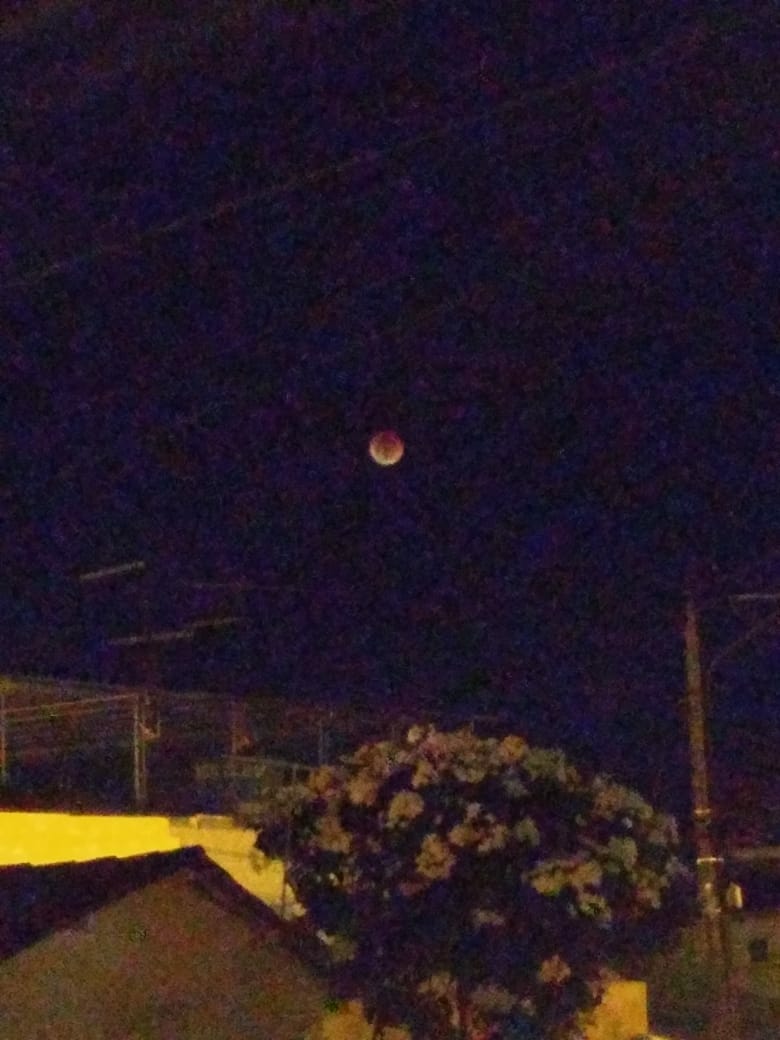 Eu fui a única que não conseguiu ver a lua mesmo?