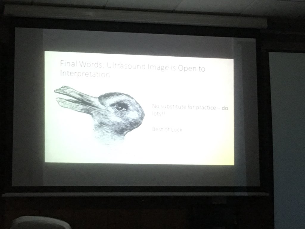 lindajdeacon's tweet photo. #PUMUS Great real-time Ultrasound Course so far! What do you see? Look carefully...... @AbsolutePhysio @evbsport https://t.co/2dnezE6rJI