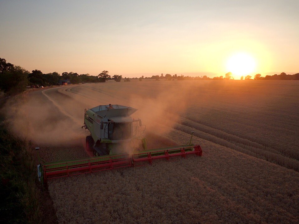 Freddie Gittus tweet media