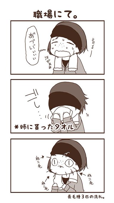 先日、姉に大量のタオル貰ったので使ったんですよ。そしてコレ。 