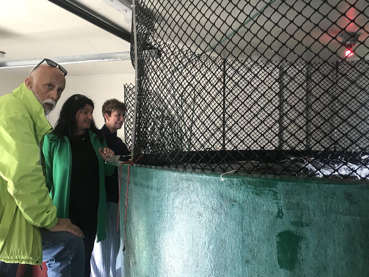 MitchelmoreGNP's tweet photo. Another visit to the Wave Environment Research Centre &amp; their Touch Tanks in Lord’s Cove with MHAs @CarolAnneHaley @MarkDBrowne &amp; Minister @ahawkins790 Great to learn more about what’s happening on site. https://t.co/cMAbiEbasF