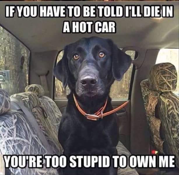 buddyholly1111's tweet image. 