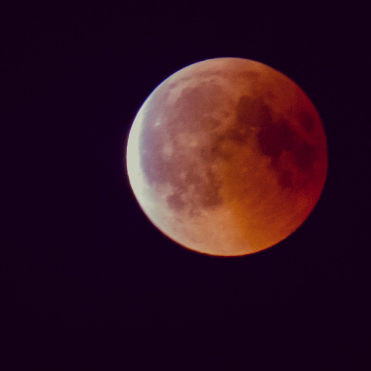 BrendaVZ's tweet photo. Temperatuur was perfect voor een uurtje stoeien met mijn camera! Blij met het resultaat. #bloedmaan #oosterhesselen #maansverduistering #canon https://t.co/hGdtm9WQp0